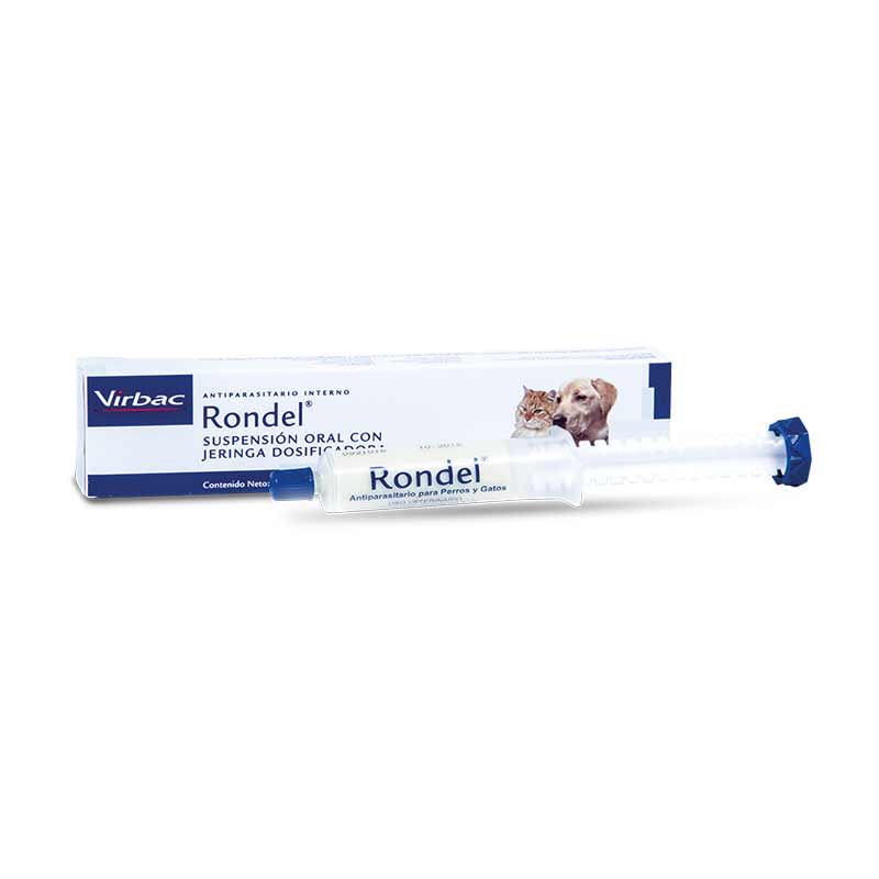 Rondel